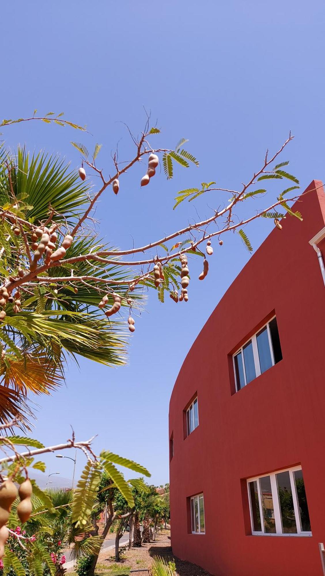 Adosado La Tabaiba Villa ซานมิเกลเดียโบนา ภายนอก รูปภาพ